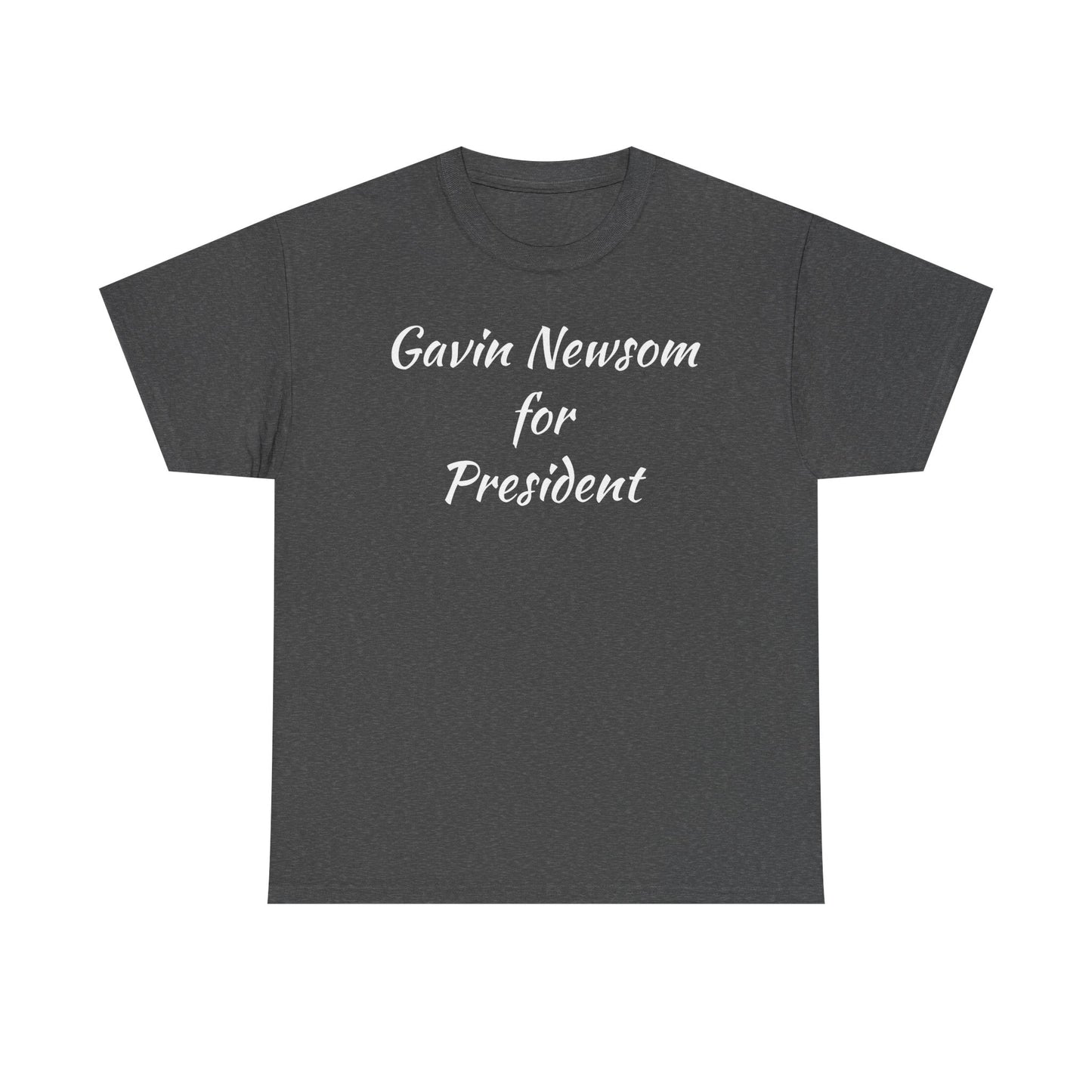 Gavin Newsom Campaign
