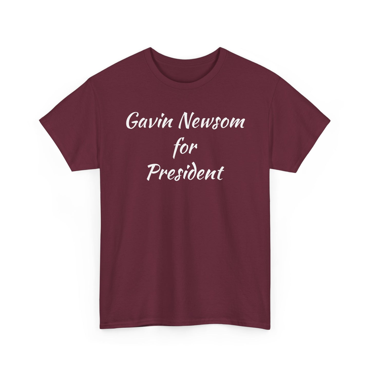 Gavin Newsom Campaign