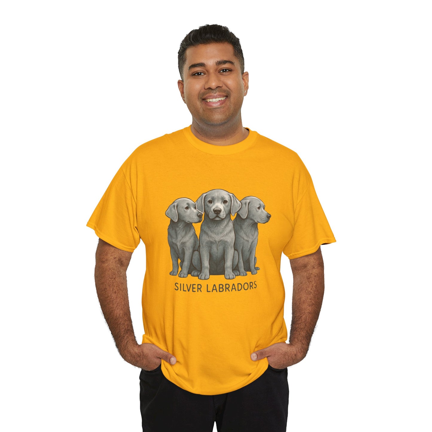 Silver Labrador