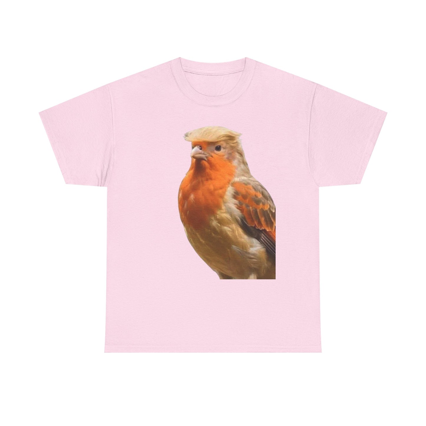 Robin Illustration T-Shirt — Cute Red-Breast Bird Graphic Tee