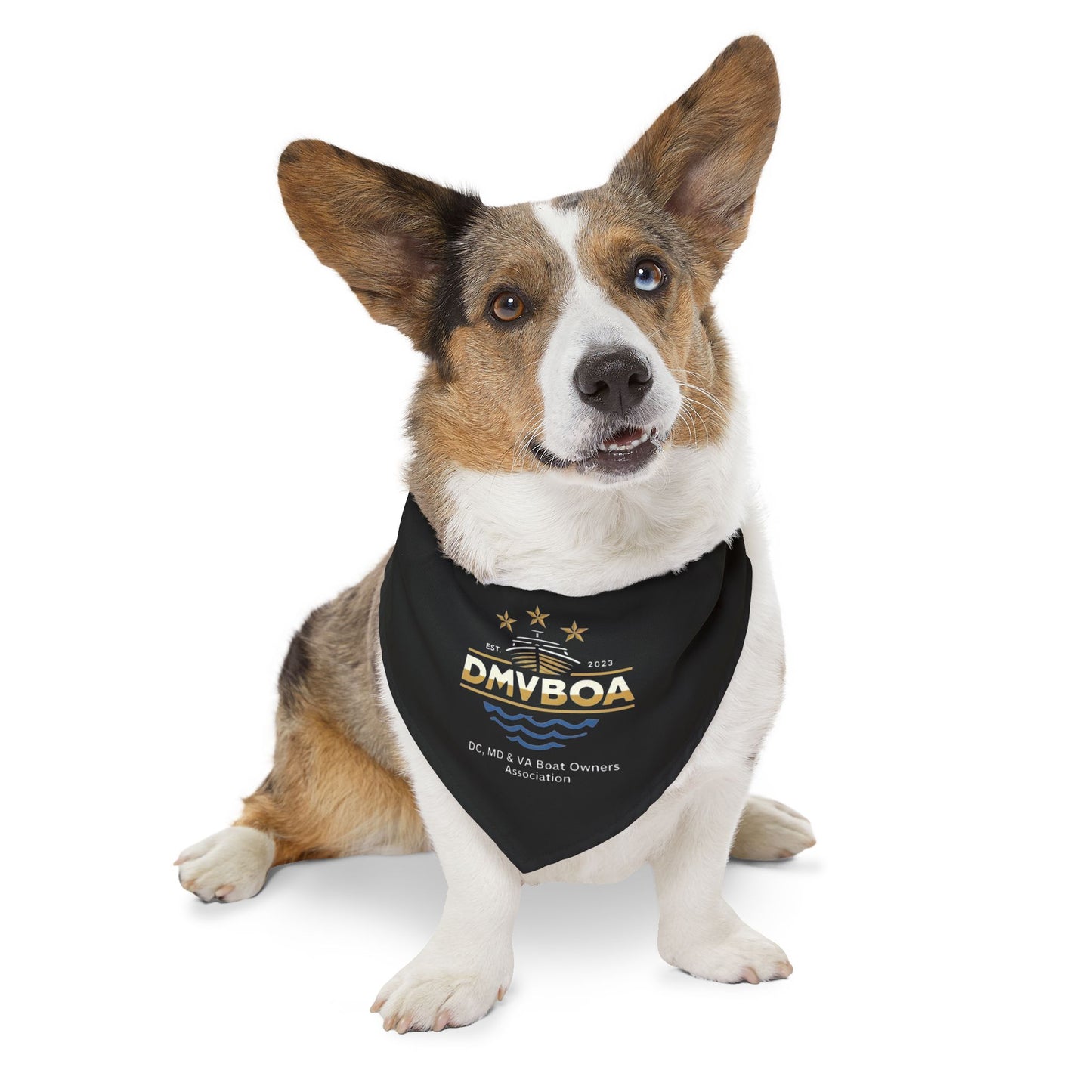 Pet Bandana Collar — DMVBOA Logo Dog Bandana for Waterfront & Boating Fans