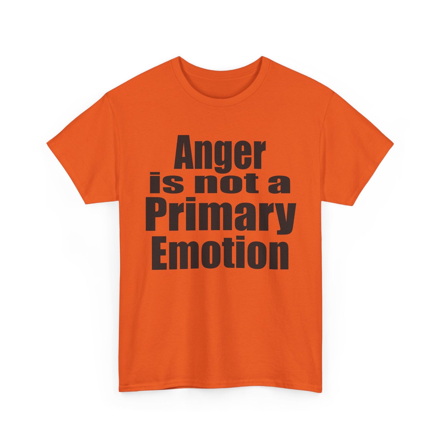 Anger is not a Primary Emotion