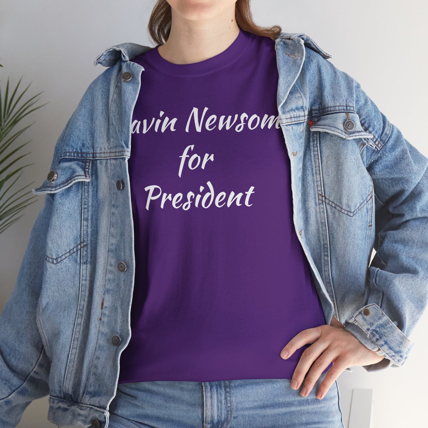 Gavin Newsom Campaign
