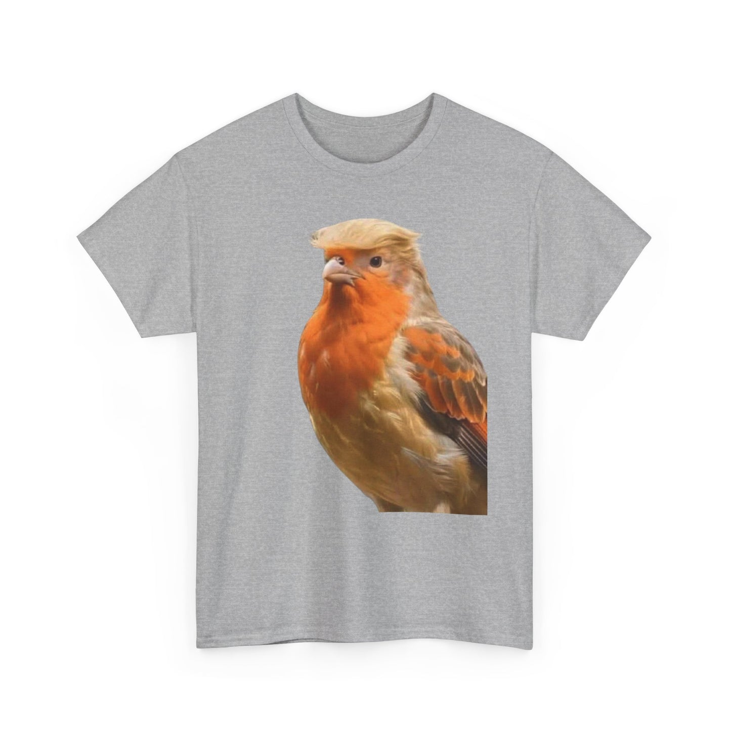 Robin Illustration T-Shirt — Cute Red-Breast Bird Graphic Tee