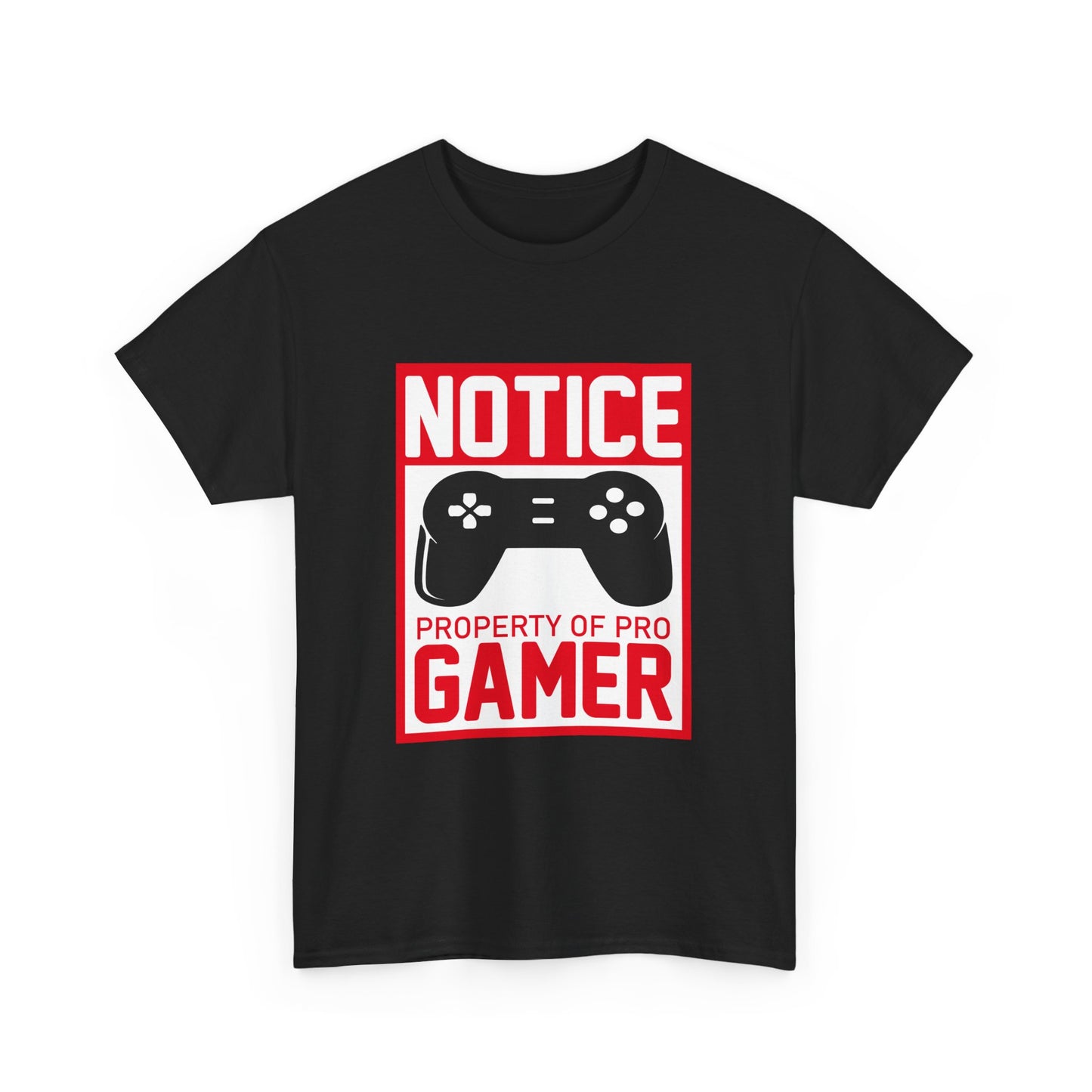 Pro Gamer Notice