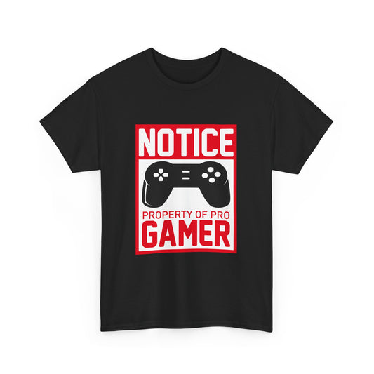 Pro Gamer Notice